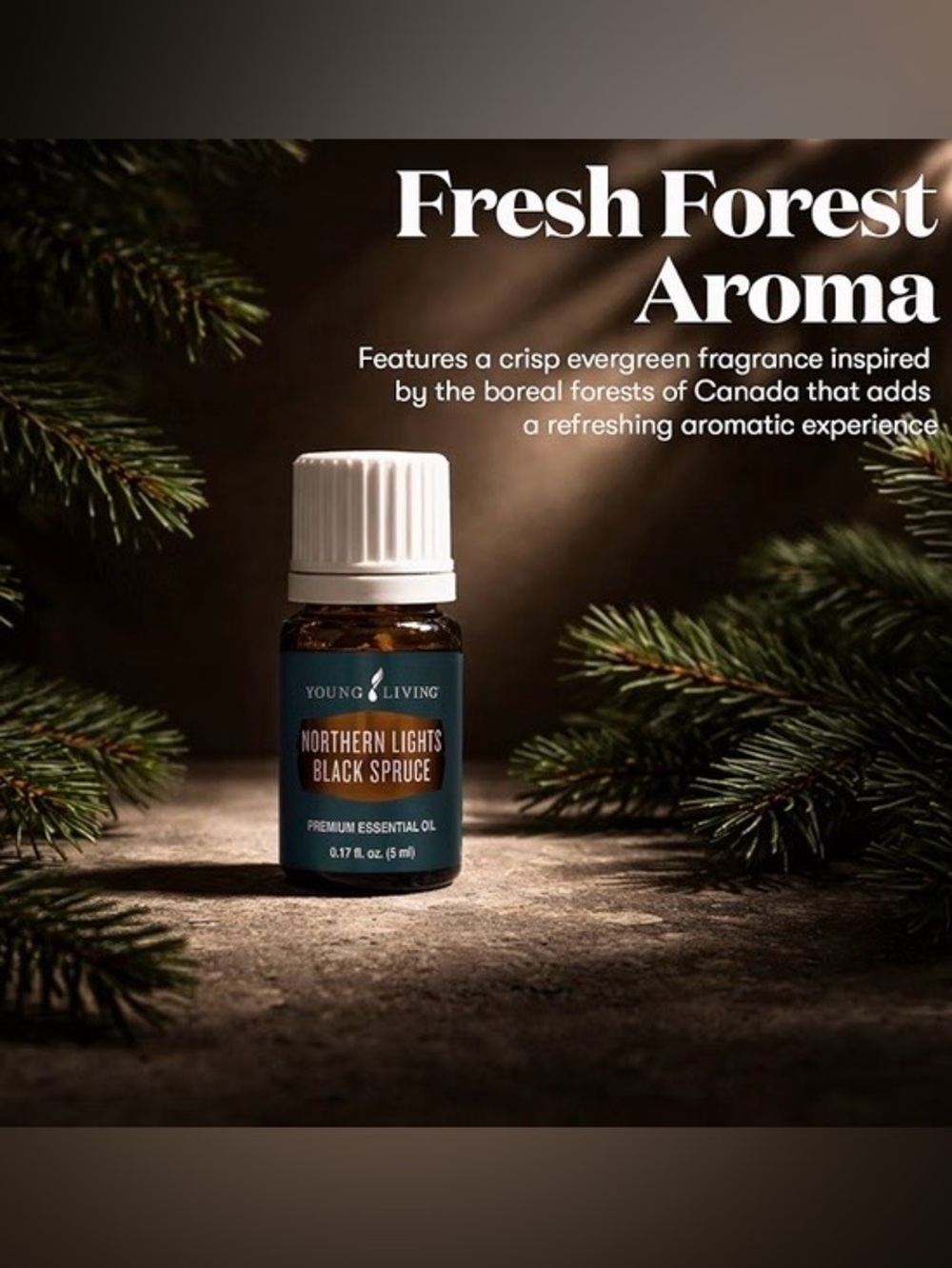 Young Living Northern Lights Black Spruce Essential Oil 5 ml Bottle Brand New - Picture 3 of 11
